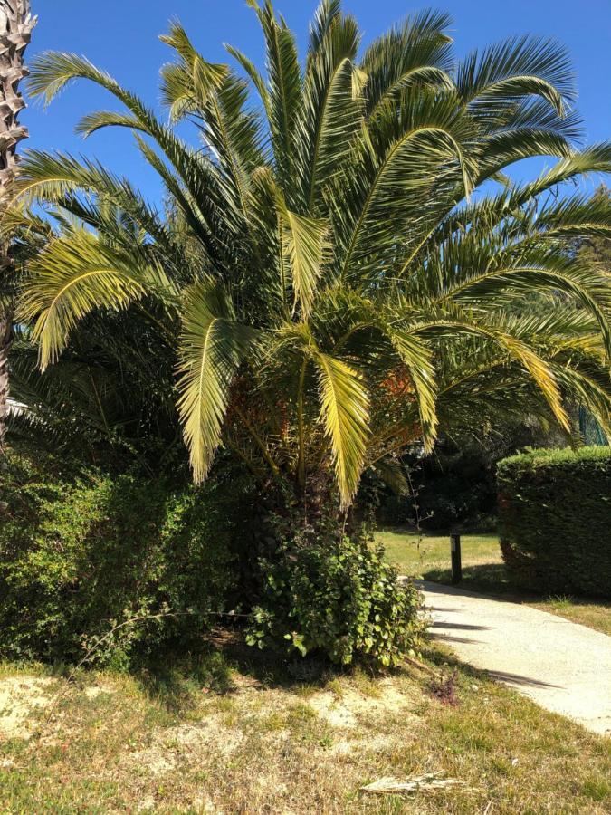 Apartamento Le Noisetier Cavalaire-sur-Mer Exterior foto